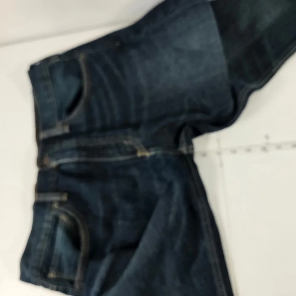 Levis levis 527